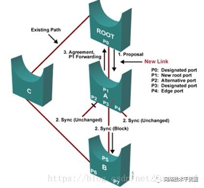 网络工程师必懂 STP与RSTP协议详解及实战软件工具